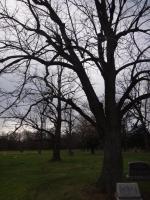 Chicago Ghost Hunters Group investigates Archer Woods Cemetery (13).JPG